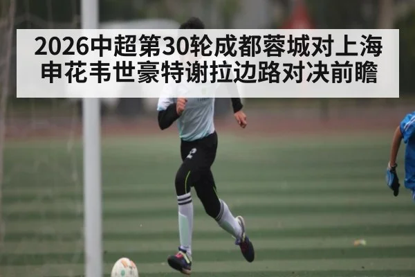 2026中超第30轮成都蓉城对上海申花韦世豪特谢拉边路对决前瞻